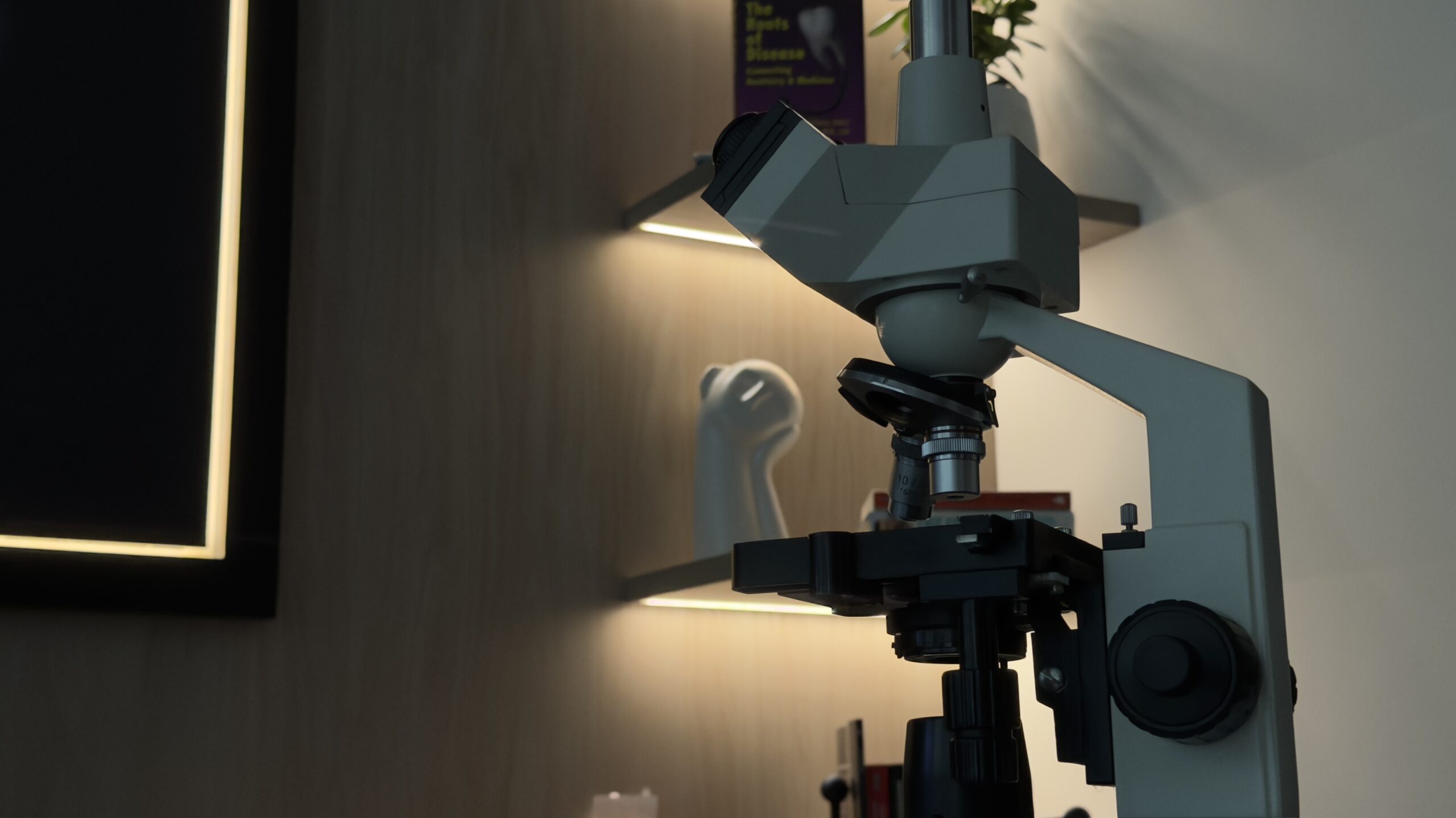 Omega Center — consulta